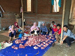 Qurban